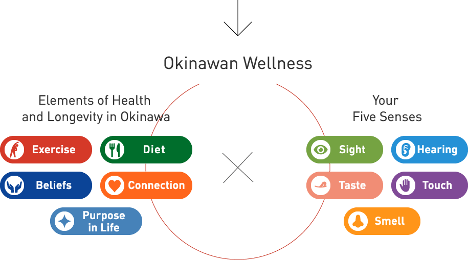 Nine Elements of the Blue Zone