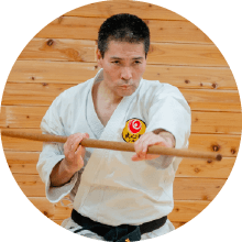 Okinawan Karate: From Origins to Living Tradition