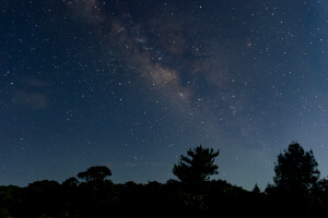 黒糖と畑の恵みと泡盛～健康長寿の秘訣を感じる旅～