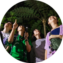 やんばるの森を歩く、夜の時間