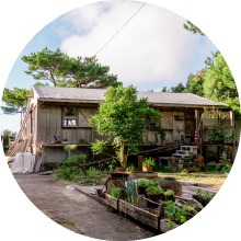 あがち森で過ごす